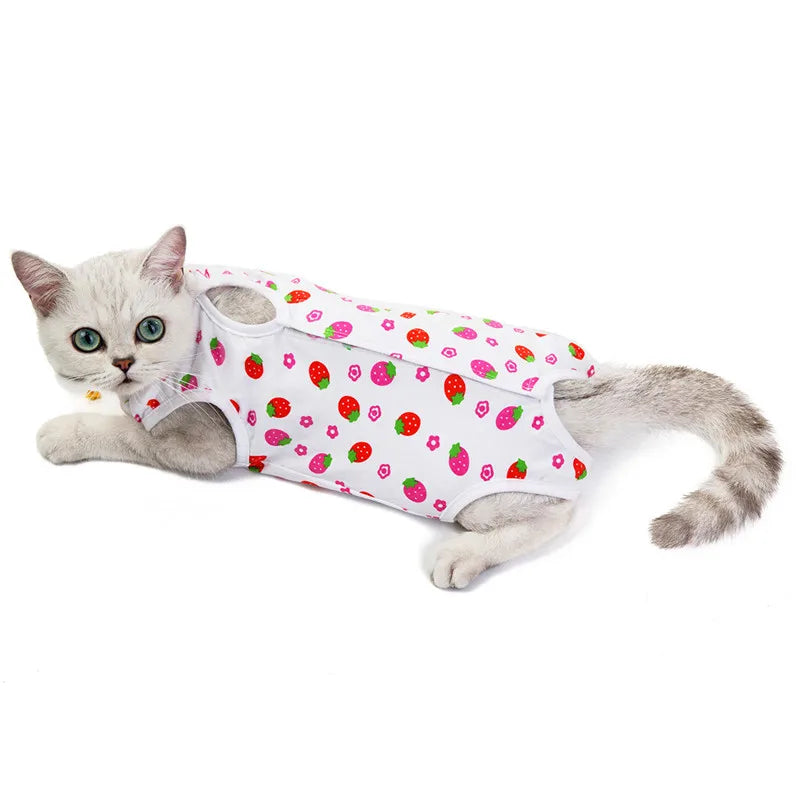 Cat Physiological Pants Dog Shorts S-XL Pet Puppy Dog Cat Washable Female Diaper Sanitary Jumpsuit Underwear Brief | Color:WHITE