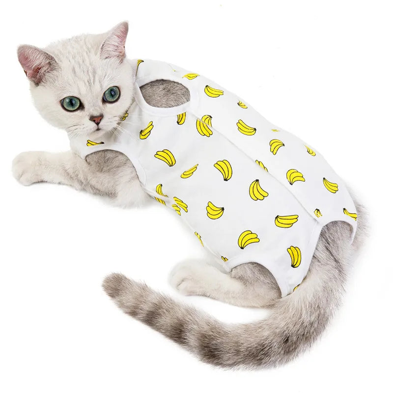 Cat Physiological Pants Dog Shorts S-XL Pet Puppy Dog Cat Washable Female Diaper Sanitary Jumpsuit Underwear Brief | Color:Yellow