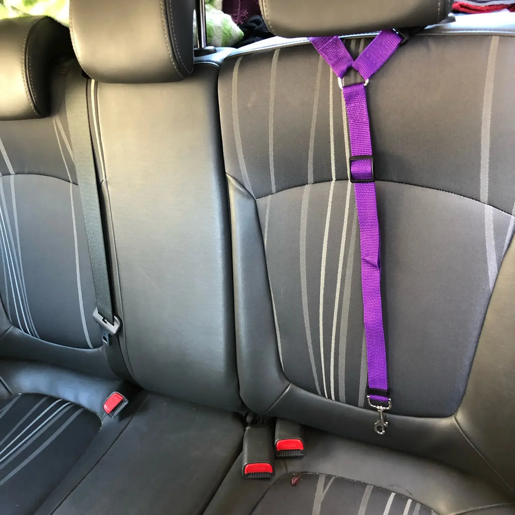 Solid Color Two-in-one Pet Car Seat Belt Nylon Lead Leash Backseat Safety Belt Adjustable Dogs Harness Collar Pet Accessories | 1