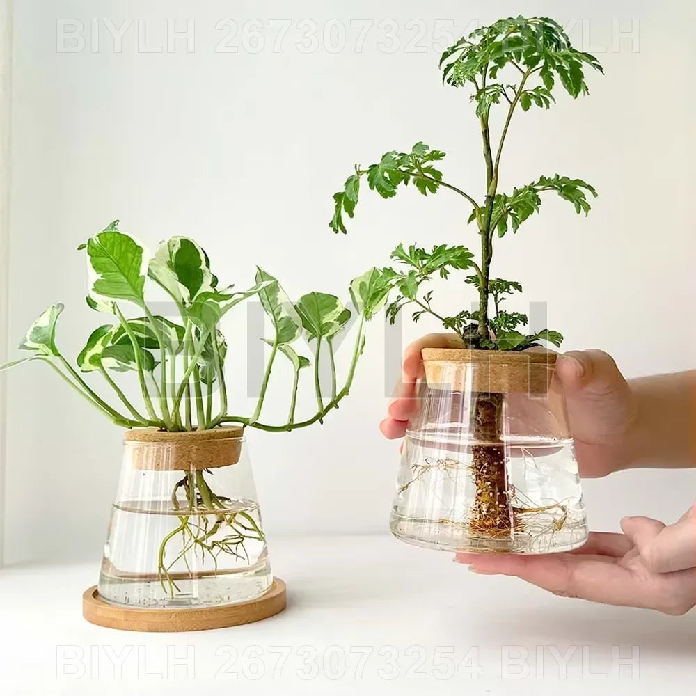 2/1 Pcs Hydroponic Plants Glass Flower Pots Home Decoration Transparent Small Vase Plant Pots With Base Tray Garden Accessories | 2
