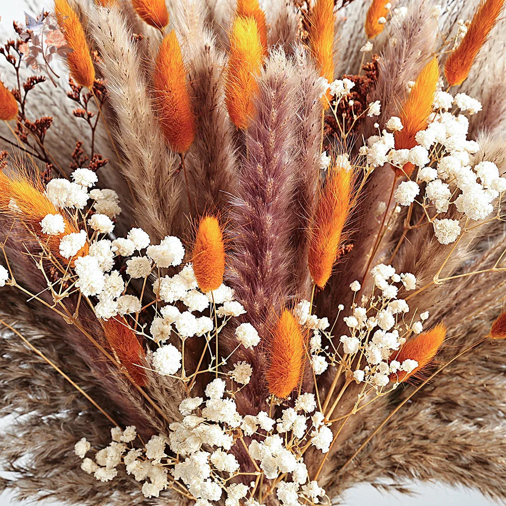 Autumn Dried Fluffy Pampas Bunny Tails Boho Home Nature Flower Bouquet Baby Breath Living Room Vase Decor Wedding Couples Gift | 2