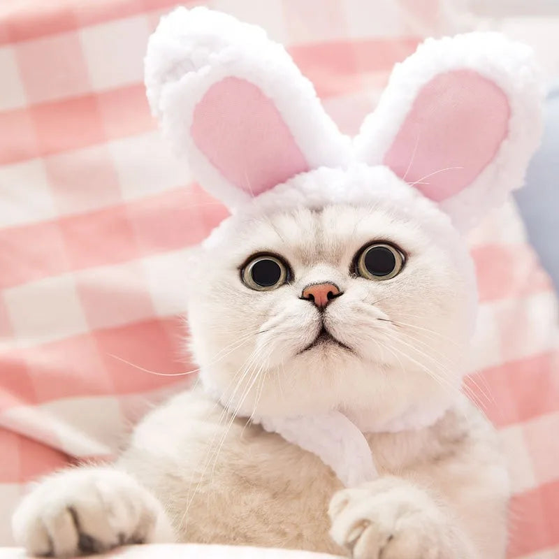 Lion Mane Cat New Cute Wig Hat for Dogs and Cats Small Dog Pet Cat Decoration Accessories Lion Wig Fancy Hair Cap Pet Supplies | 5