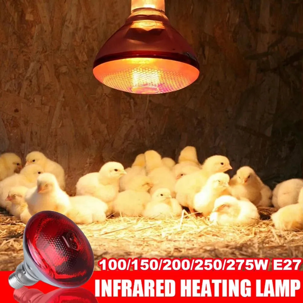 E27 100/150/200W/250w Infrared LED Light Thickening Heat Lamp Thermal Preservation Bulb For Pet Brooder Hatch Piggy Dog Cat | 2