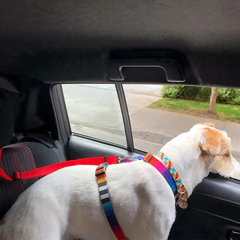 Solid Color Two-in-one Pet Car Seat Belt Nylon Lead Leash Backseat Safety Belt Adjustable Dogs Harness Collar Pet Accessories | 3