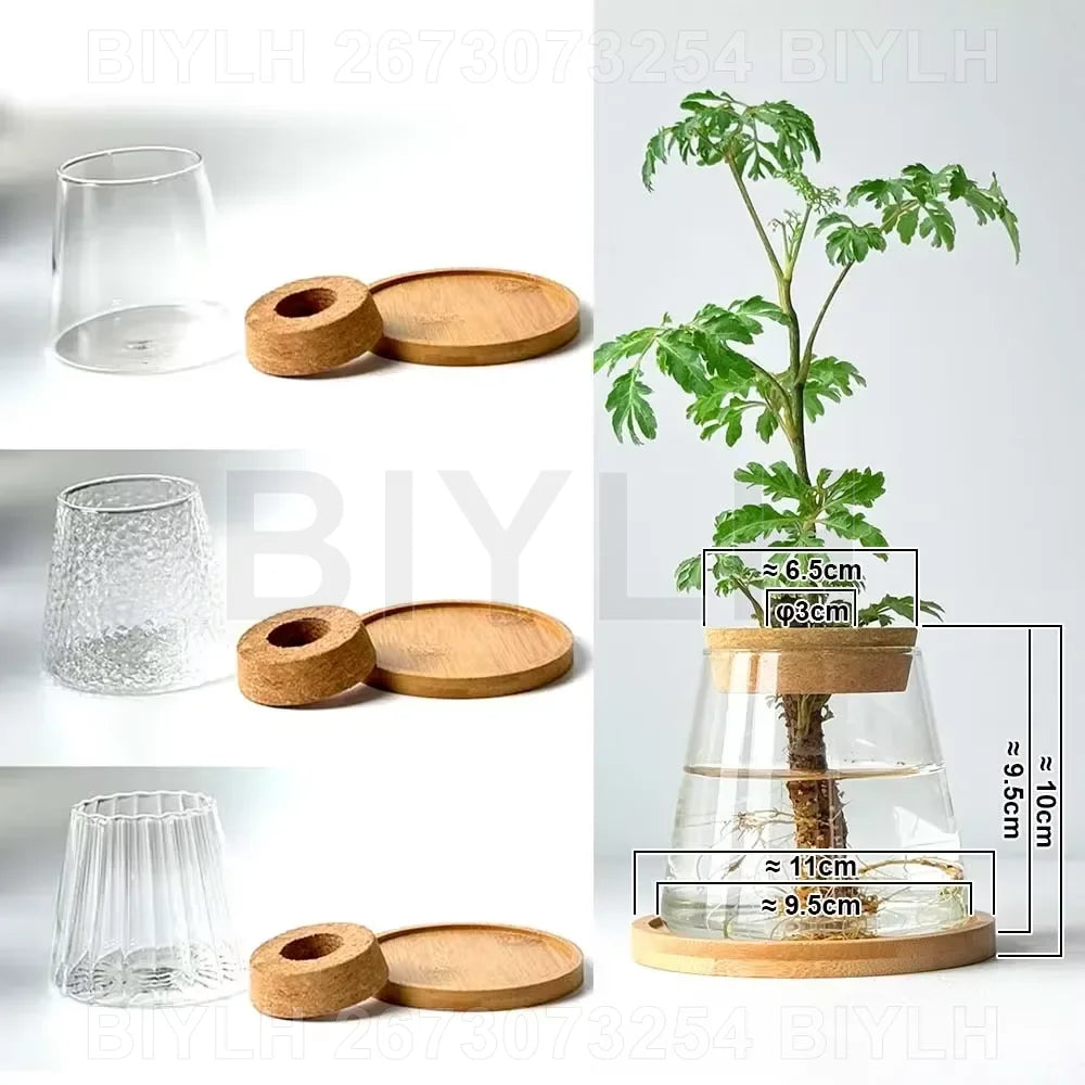 2/1 Pcs Hydroponic Plants Glass Flower Pots Home Decoration Transparent Small Vase Plant Pots With Base Tray Garden Accessories | 3