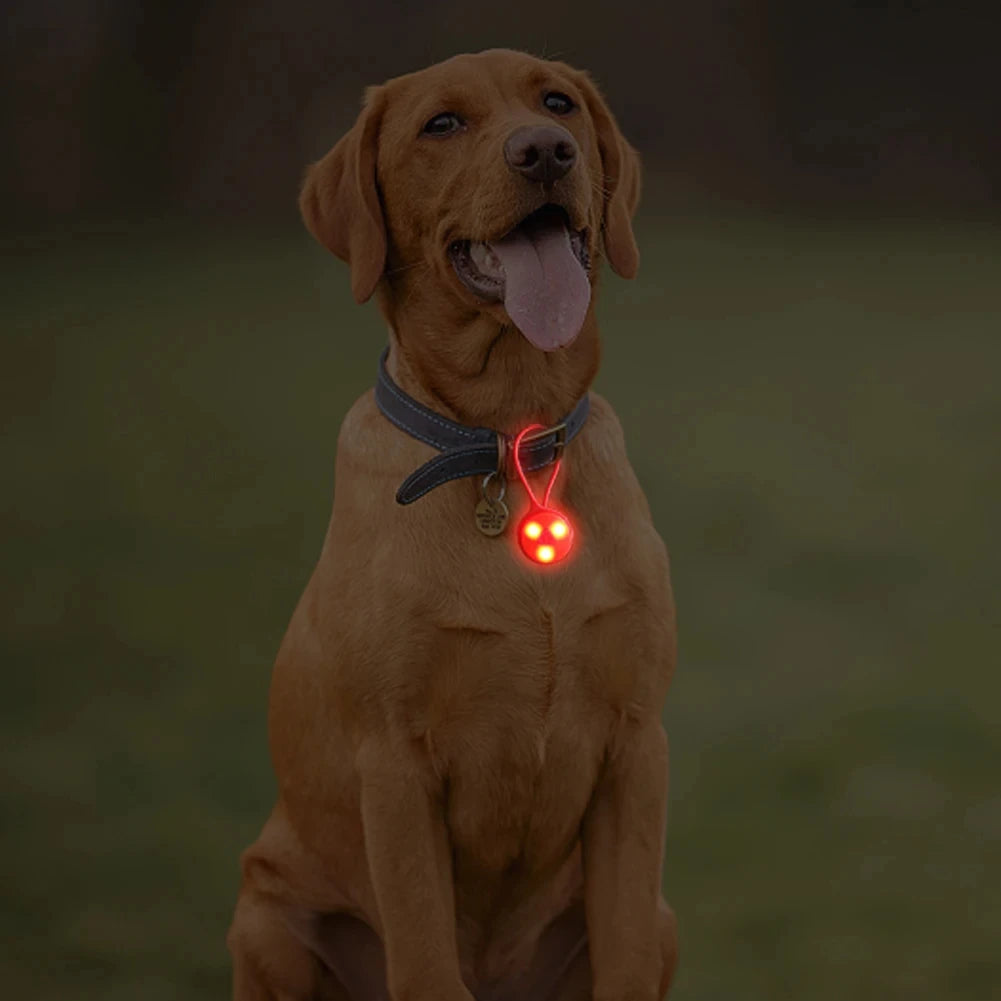 Outdoor Backpack Lights Silicone LED Night Running Warning Light Camping Riding Wind Rope Light Travel Equipment Tool Safety | 4