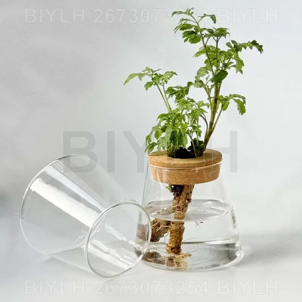 2/1 Pcs Hydroponic Plants Glass Flower Pots Home Decoration Transparent Small Vase Plant Pots With Base Tray Garden Accessories | 4