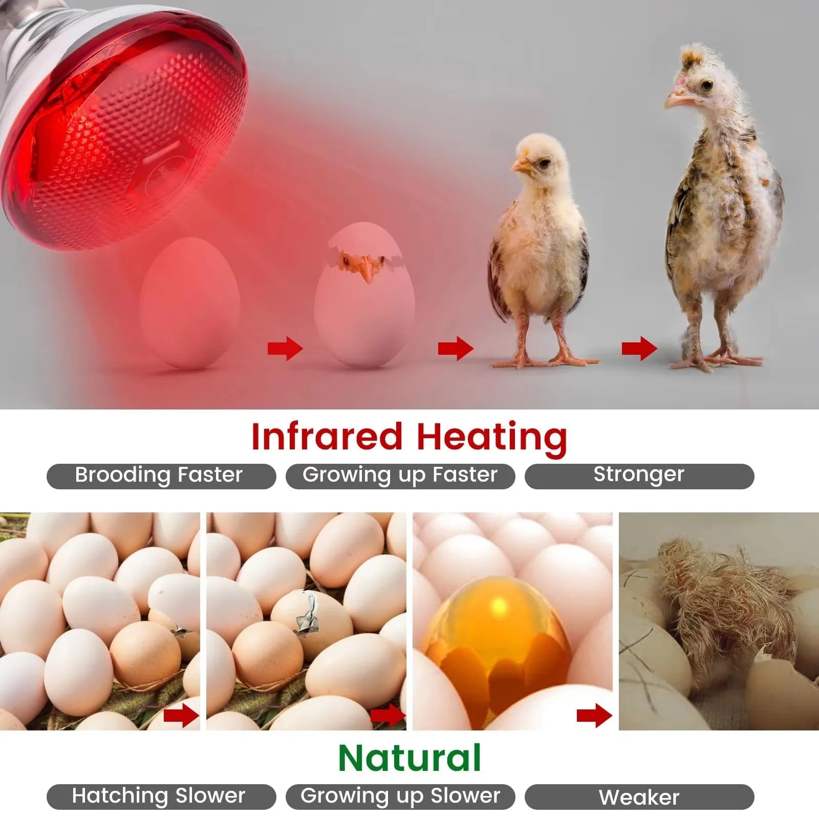 E27 100/150/200W/250w Infrared LED Light Thickening Heat Lamp Thermal Preservation Bulb For Pet Brooder Hatch Piggy Dog Cat | 3