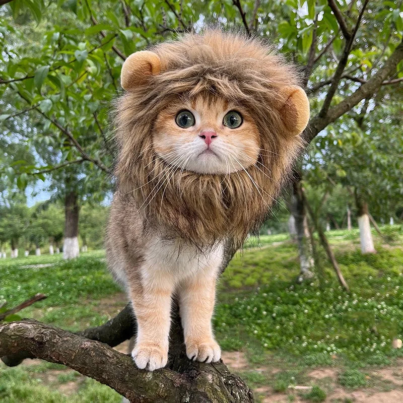 Lion Mane Cat New Cute Wig Hat for Dogs and Cats Small Dog Pet Cat Decoration Accessories Lion Wig Fancy Hair Cap Pet Supplies | 0