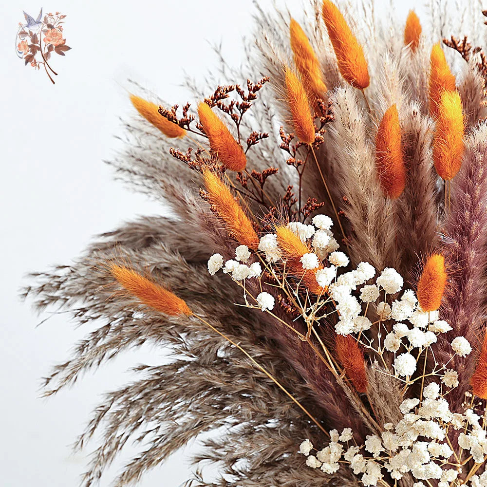 Autumn Dried Fluffy Pampas Bunny Tails Boho Home Nature Flower Bouquet Baby Breath Living Room Vase Decor Wedding Couples Gift | 3