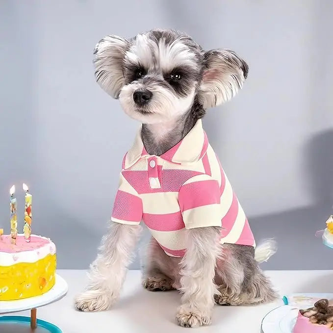 Stripe Dog Shirt Breathable Polo Shirts Summer Dog Clothes for Small Medium Dogs Cat Girl Boy Puppy Chihuahua Yorkie Pet Apparel | 5