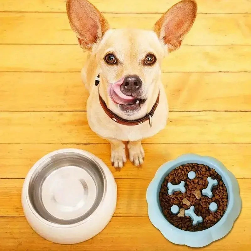 Pet supplies Color Slow Feeder Cat Bowl Anti-choking Plastic Dog Puzzle Food Bowl, Dog Water Basin For Anxiety Relief | 5