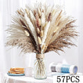 40 Pieces Dried Pampas Reeds Palm Leaves Bundle Boho Chic Home Decor Natural Flowers Baby's Breath Bouquets Country Arrangement | Color:B
