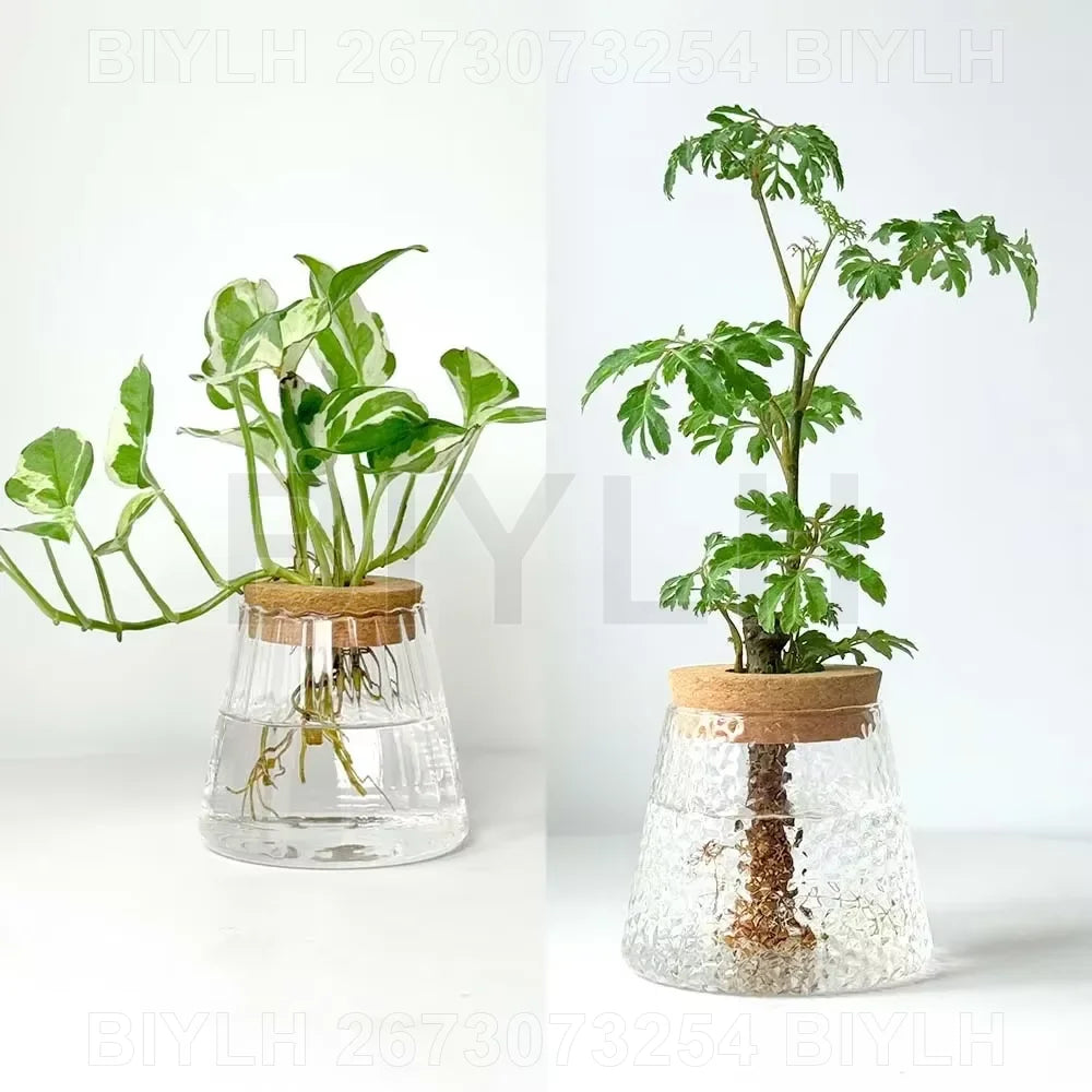 2/1 Pcs Hydroponic Plants Glass Flower Pots Home Decoration Transparent Small Vase Plant Pots With Base Tray Garden Accessories | 5
