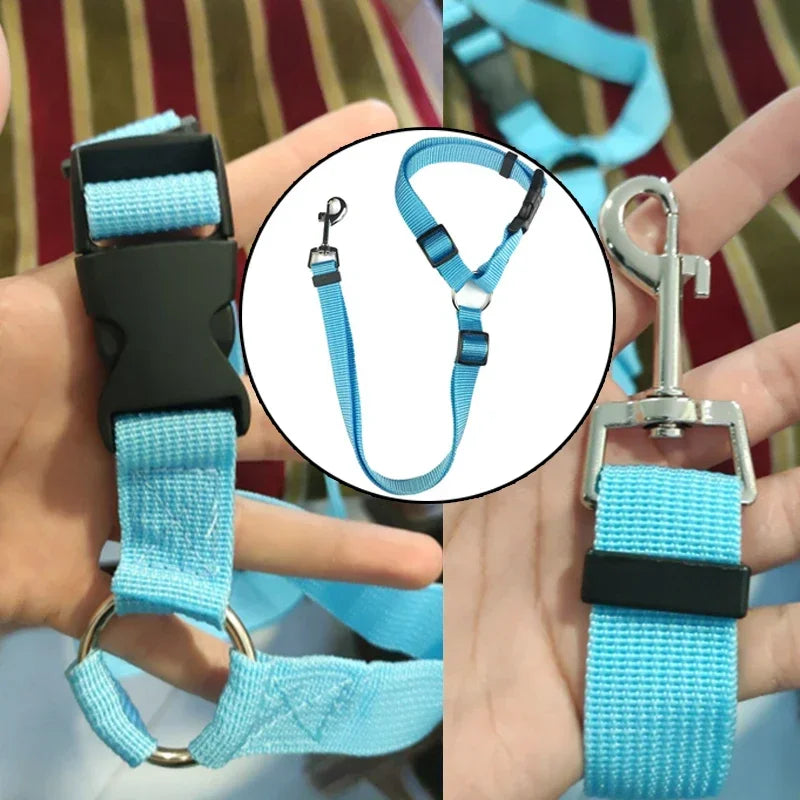 Solid Color Two-in-one Pet Car Seat Belt Nylon Lead Leash Backseat Safety Belt Adjustable Dogs Harness Collar Pet Accessories | 2