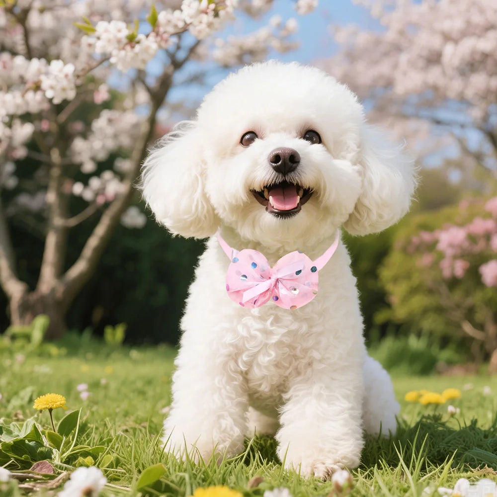 10PCS Adjustable Dog Bow Ties Lace Pet Collars For Dogs Cute Cat Necklaces Puppy Bowties Collar Dog Grooming Accessories | 3