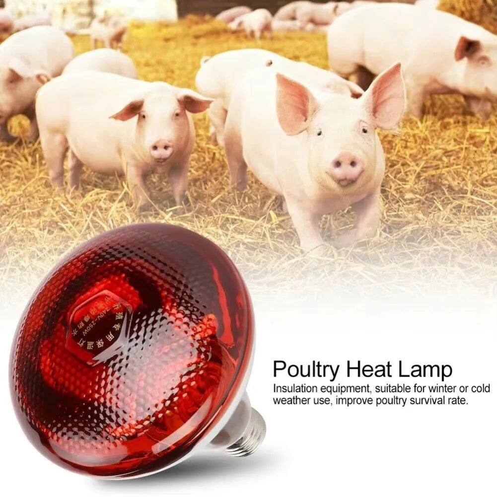E27 100/150/200W/250w Infrared LED Light Thickening Heat Lamp Thermal Preservation Bulb For Pet Brooder Hatch Piggy Dog Cat | 4